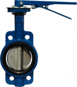 butterfly valve1