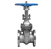 gate valve